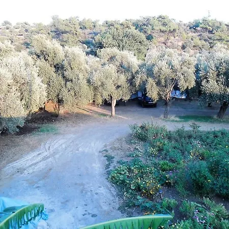 Pansiyon Zuhal Apart Mazi