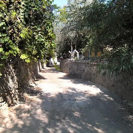 Pansiyon Zuhal Apart