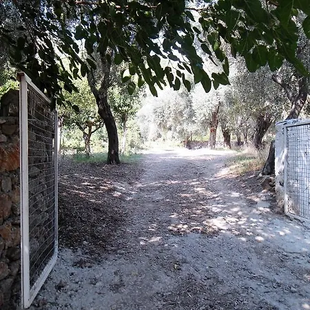Zuhal Apart Pansiyon Mazi